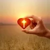 evangelismo.diario