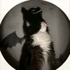 rhettpwr