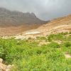 _zaed8