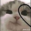 estefi7377
