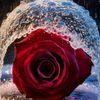 user7201483070988