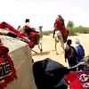 aboubk06