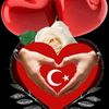 hdr.ayyldz