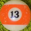 13_bebra