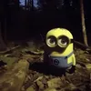 wllvyufrvr
