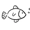 rafaela.tilapia.t