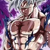 goku.son183