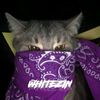 rapistecu3