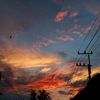 sarman_51