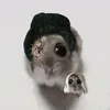 saphicc_oc