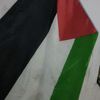 alaapalestine8