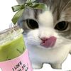 auni_iscool