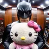 batcte_13