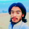 akhtar.ali3017