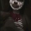 waliss_001