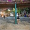 acuario2987