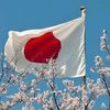 tokisakikurumi286