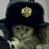 tipan91.911
