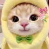 n4ra_diva