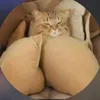 lzlleisontiktok0