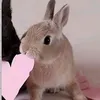 ellie.mendosa