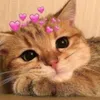 mewsibidi