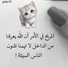 rahme.rahme55