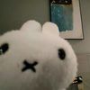 sihoon8