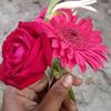 user59307313060202
