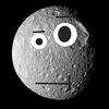 dikiy.mimas