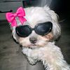 baby_gal12