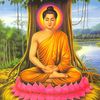 samip_2006