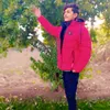 haseebjutt0381