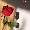 abir.abir8302