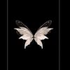 yasrilidya_16