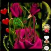 nowad_ays