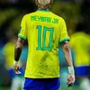 otavio.braga2