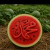 user424006507602