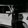 blackparrot4