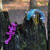 the3dprintedsiblings