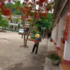 cmnhz55