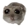 namsuyroi