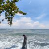 niar_228
