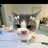 namdaydungso1