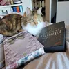 lynscats2