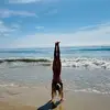 alyreid88