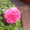 shabnam573897