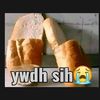 alipppudahmandi