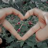 user406245058