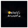 user027549600